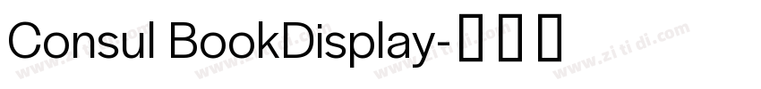 Consul BookDisplay字体转换